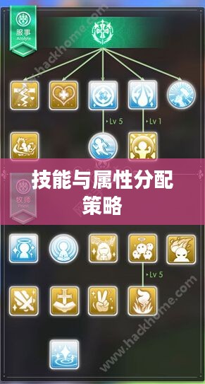 RO法师加点攻略,技能与属性分配策略 RO法师加点攻略,技能与属性分配策略