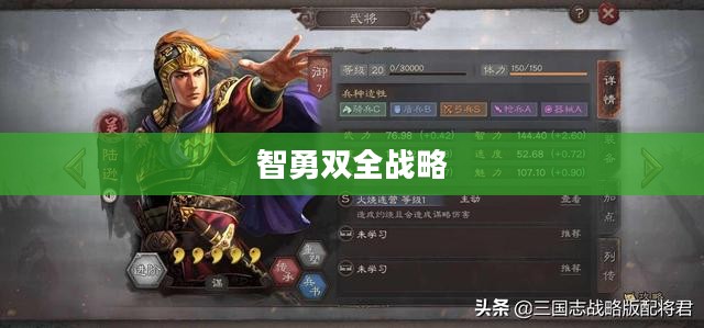 孙仲谋战法，智勇双全的战略之道