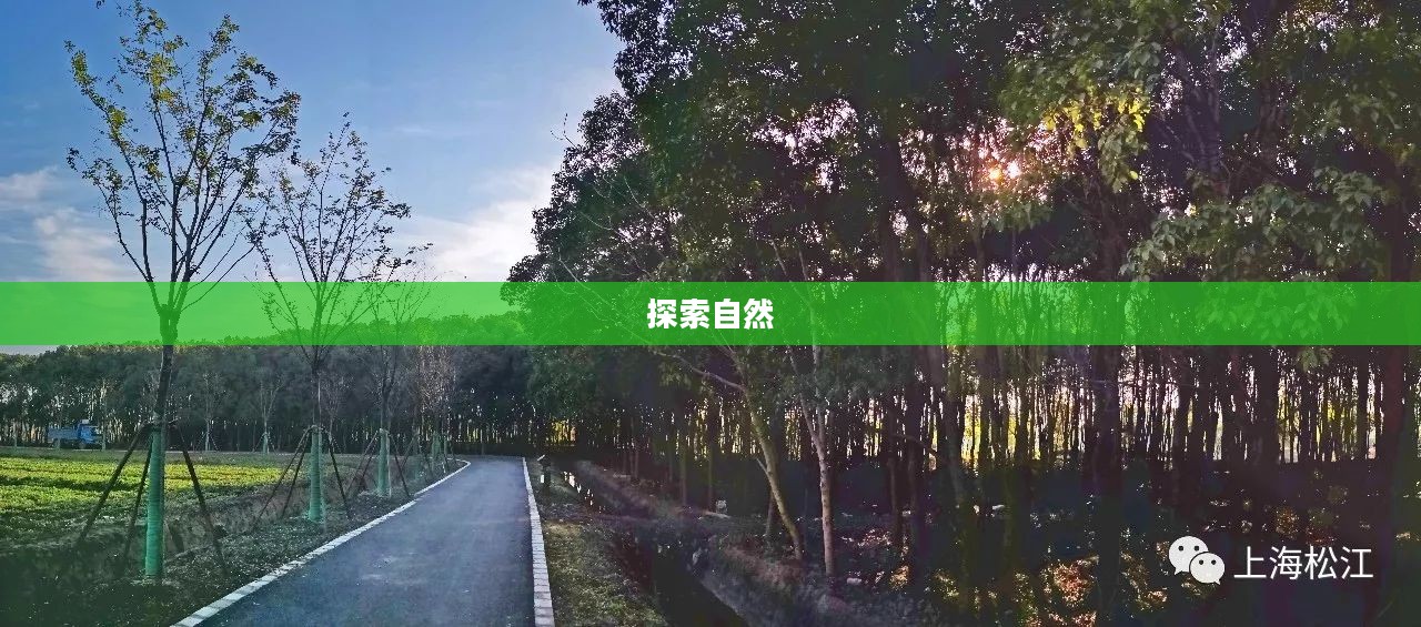 郊野公园攻略，探索自然的怀抱