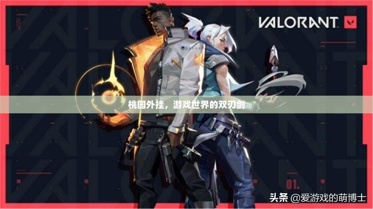 桃园外挂，游戏世界的双刃剑