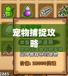 造梦西游3宠物捕捉攻略详解