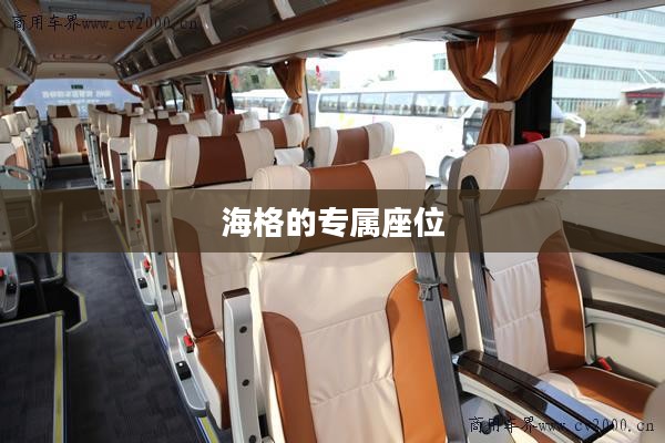 海格的专属座位，未知之谜
