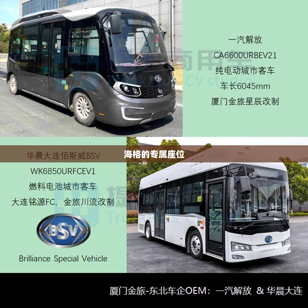 海格的专属座位，未知之谜