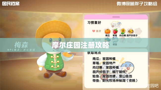 摩尔庄园注册攻略，轻松开启你的虚拟世界之旅