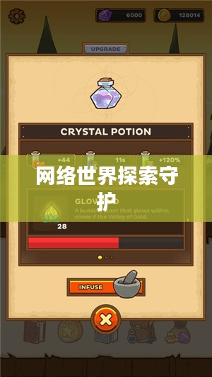骑士VPN，探索网络世界的守护者
