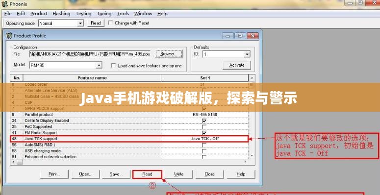 Java手机游戏破解版，探索与警示
