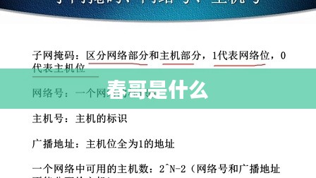 春哥是什么