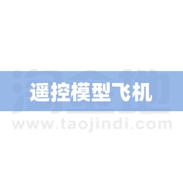 遥控模型飞机的魅力世界