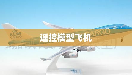 遥控模型飞机的魅力世界