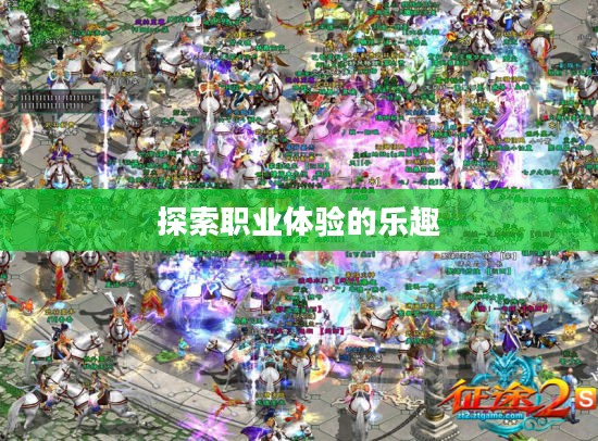 征途2,探索最佳职业体验的乐趣 征途2,探索最佳职业体验的乐趣