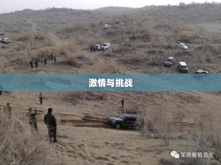 疯狂滑雪者的激情与挑战