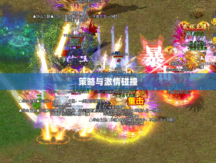 一战到底游戏,策略与激情的碰撞 一战到底游戏,策略与激情的碰撞