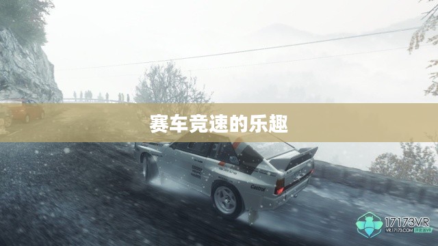 双人小游戏大全赛车，速度与激情的无尽乐趣