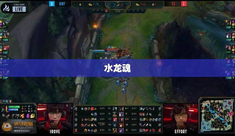 水龙魂，属性加成与力量解析