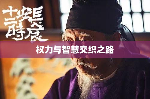 皇帝成长计划2，权力与智慧的交织之路
