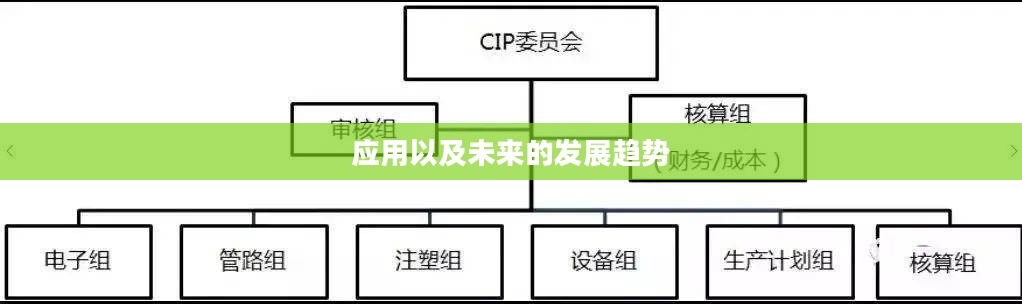 深入了解CIP，概念、应用与未来发展