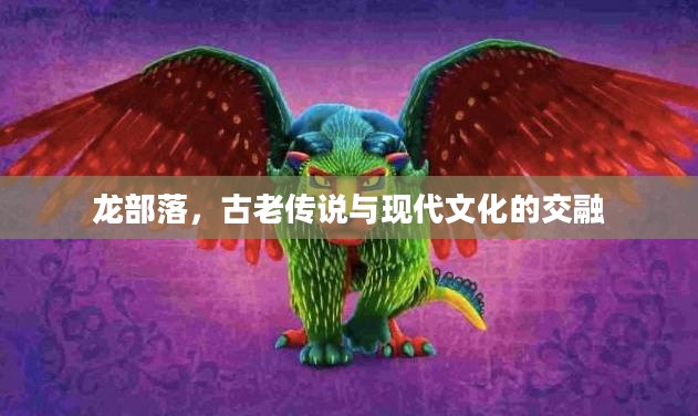 龙部落，古老传说与现代文化的交融
