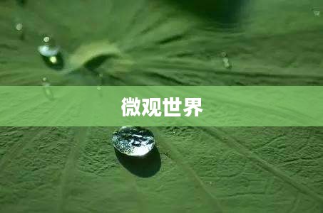 表面张力，微观世界的奇妙力量