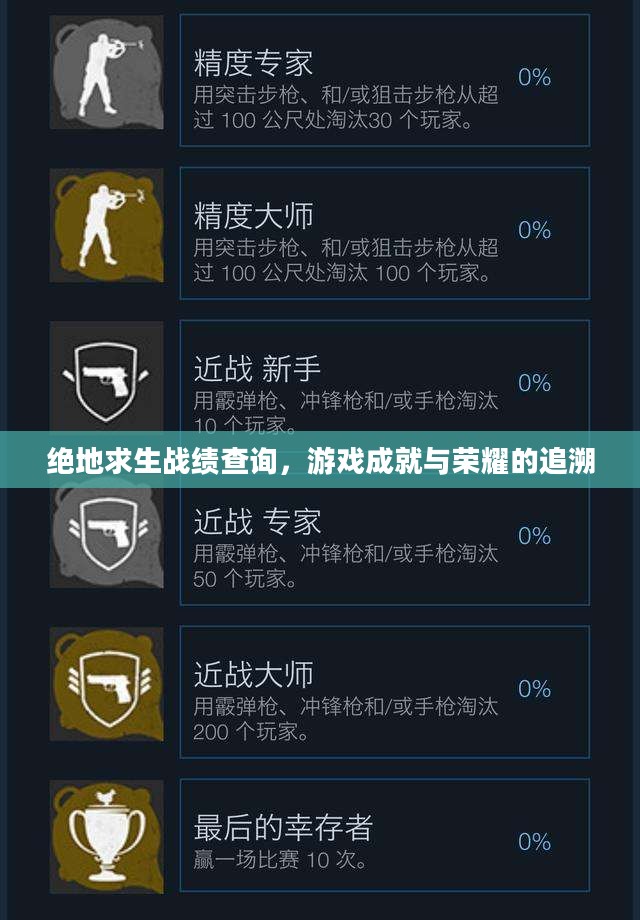 绝地求生战绩查询，游戏成就与荣耀的追溯