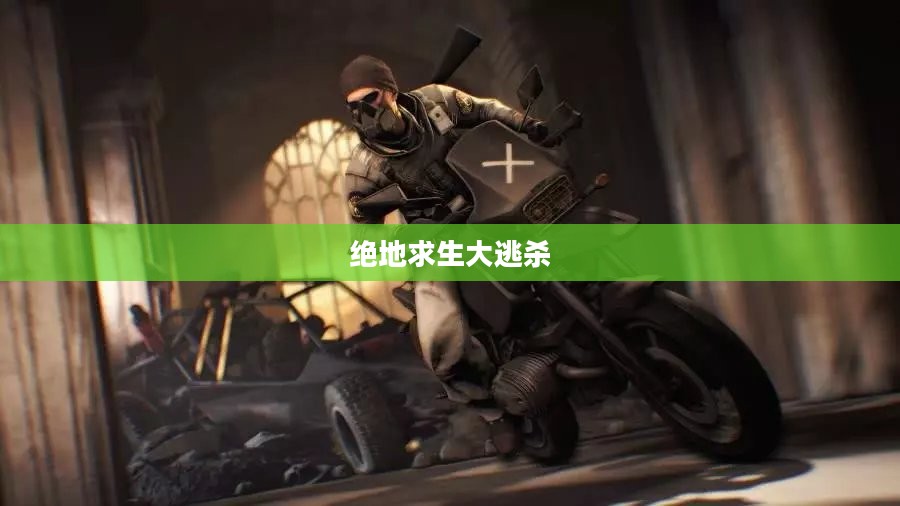 绝地求生大逃杀，生存与挑战的游戏魅力
