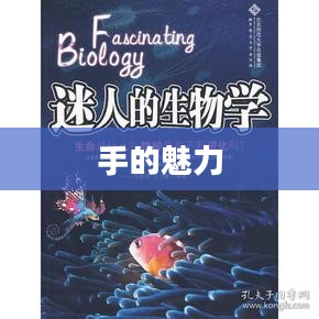 探寻手的魅力，从微观到宏观的奇妙之旅