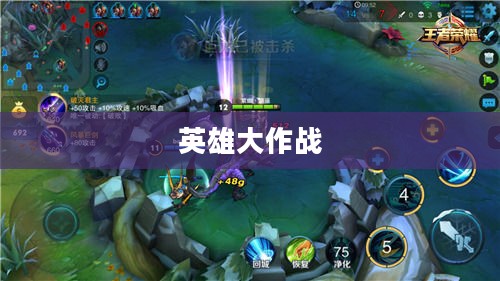英雄大作战，荣耀与牺牲的篇章
