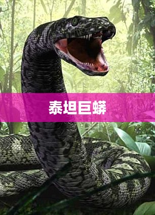 泰坦巨蟒，史前巨蟒的传奇