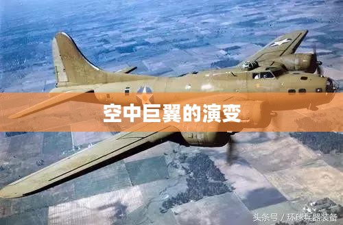战略轰炸机，空中巨翼的崛起与演变