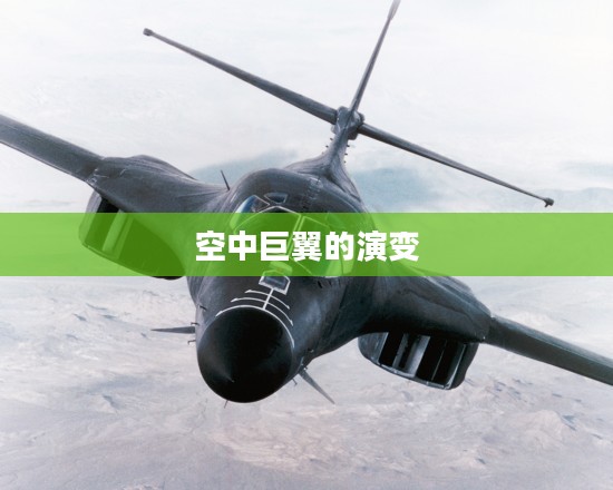 战略轰炸机,空中巨翼的崛起与演变 战略轰炸机,空中巨翼的崛起与演变