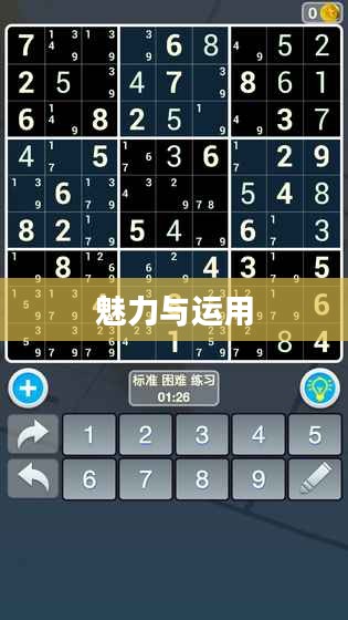 数独计算器的魅力与运用