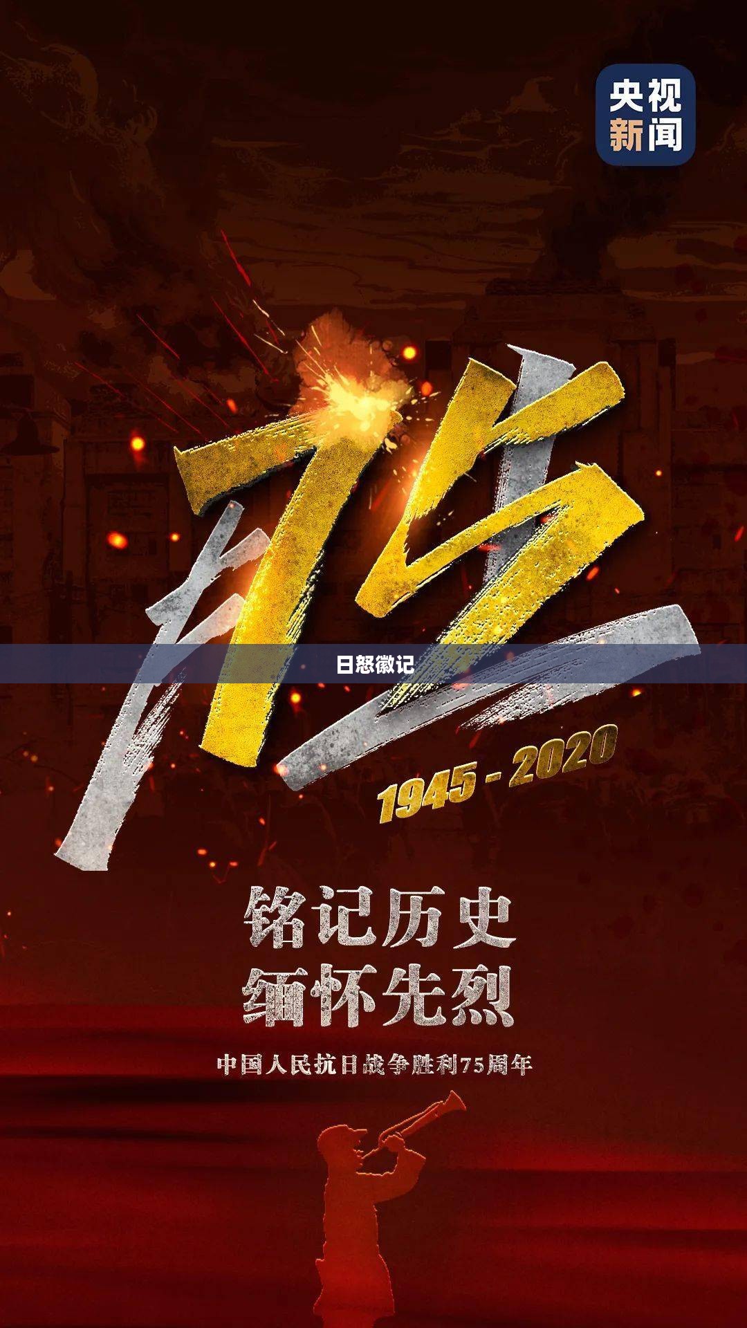 日怒徽记,历史深处的印记与启示 日怒徽记,历史深处的印记与启示