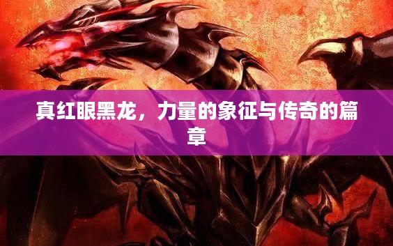 真红眼黑龙，力量的象征与传奇的篇章