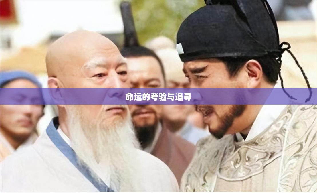 失踪的同伴，一场命运的考验与追寻