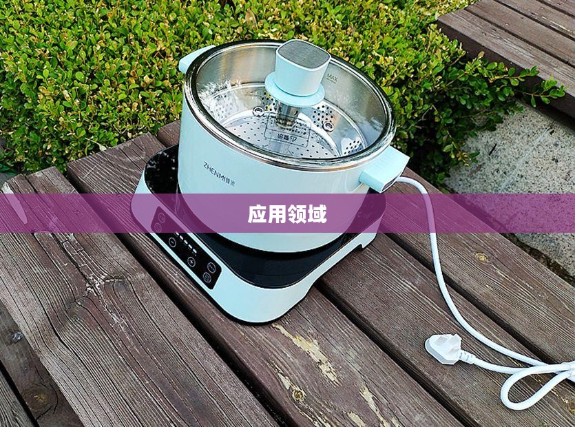 探究Conduction,电传导现象及其应用领域 探究Conduction,电传导现象及其应用领域