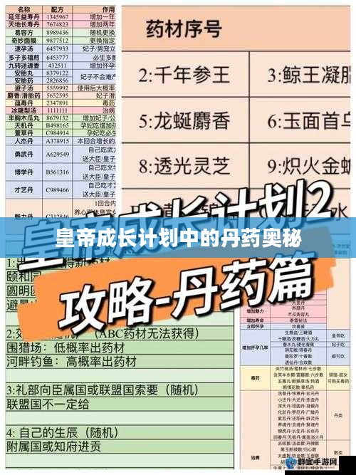 皇帝成长计划中的丹药奥秘