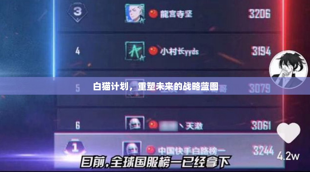 白猫计划，重塑未来的战略蓝图