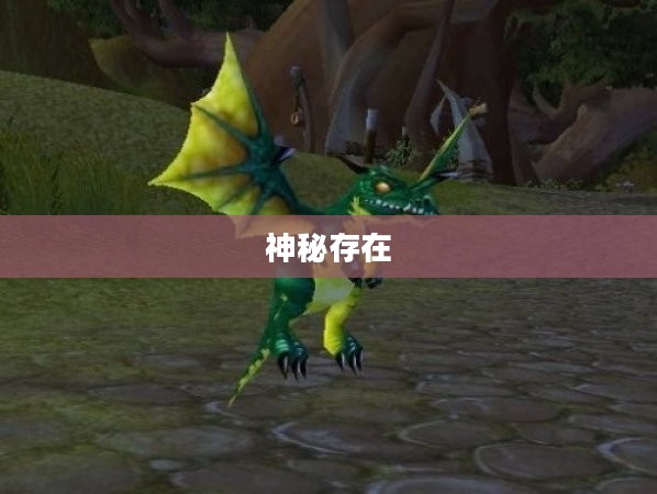 虚空精灵，神秘的存在与深邃的幻想