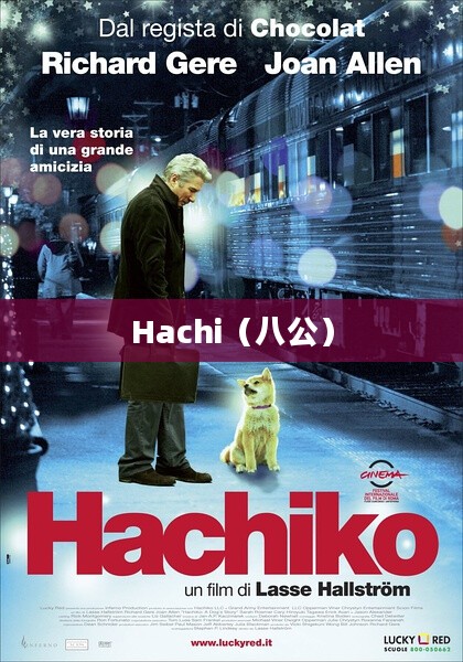 Hachi，忠诚与陪伴的力量