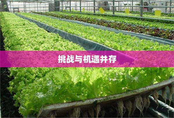 探索隐藏任务,挑战与机遇并存 探索隐藏任务,挑战与机遇并存