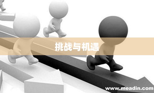 纷争，社会不可避免的挑战与机遇