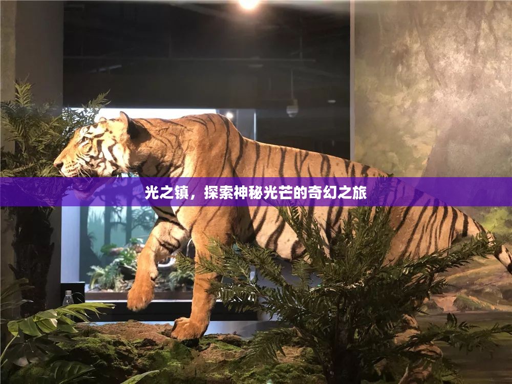 光之镇，探索神秘光芒的奇幻之旅