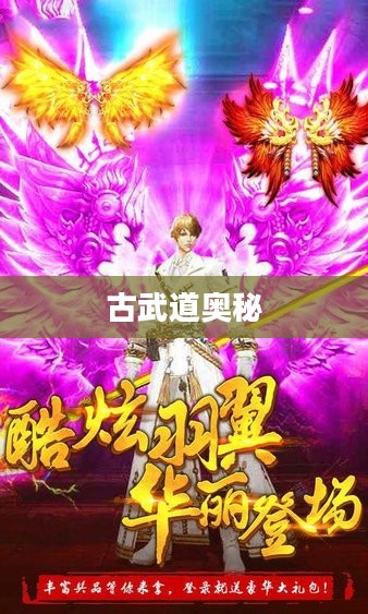 武道乾坤，探索古武道的奥秘
