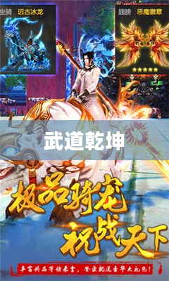 武道乾坤,探索古武道的奥秘 武道乾坤,探索古武道的奥秘