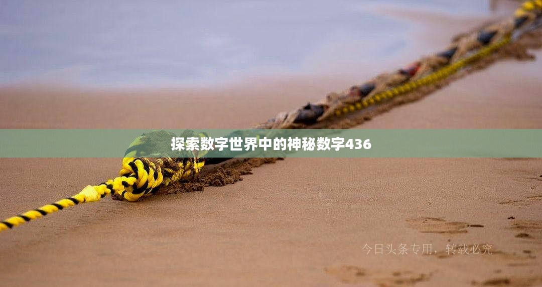 探索数字世界中的神秘数字436
