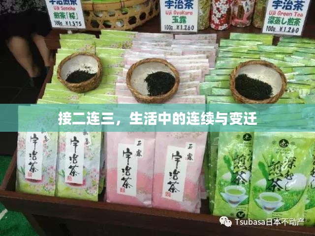 接二连三,生活中的连续与变迁 接二连三,生活中的连续与变迁