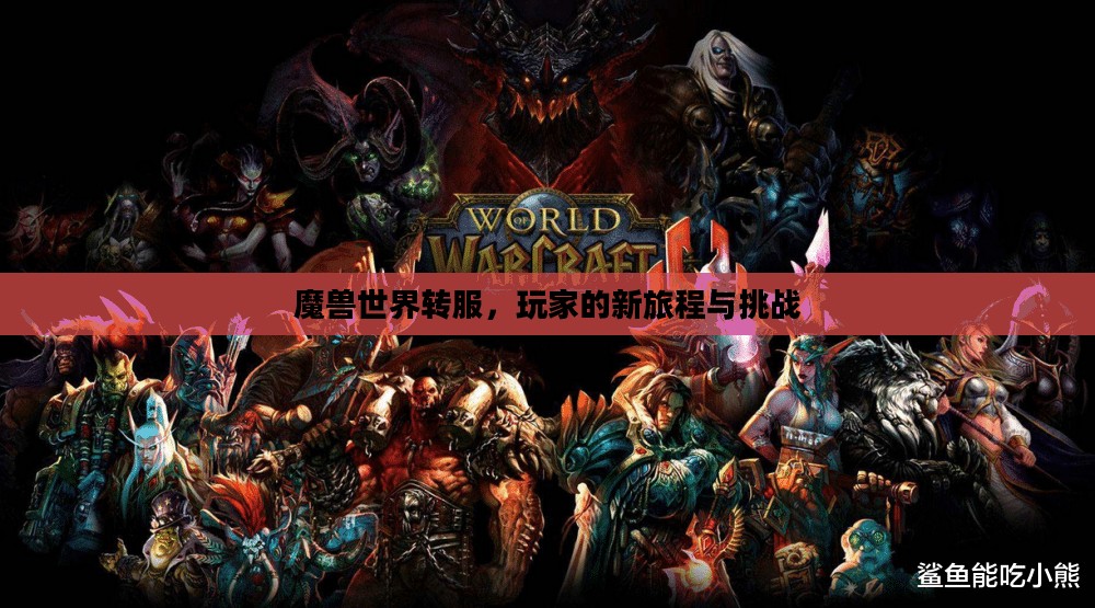 魔兽世界转服，玩家的新旅程与挑战