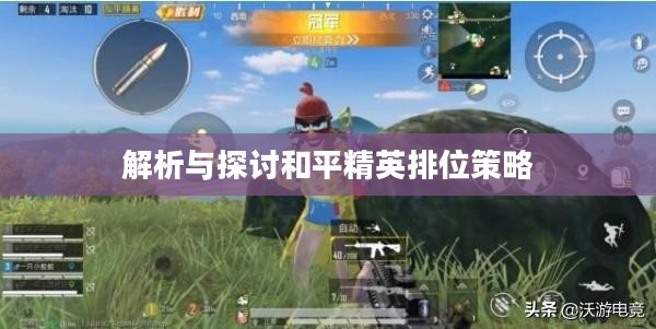 和平精英段位排行，解析与探讨