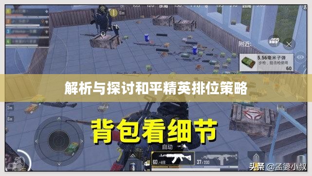 和平精英段位排行,解析与探讨 和平精英段位排行,解析与探讨