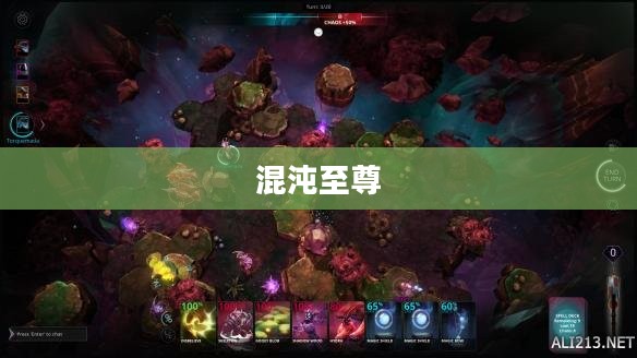 混沌至尊，探索未知的极致境界