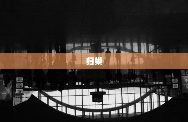 归巢，生命的归宿与精神的归宿